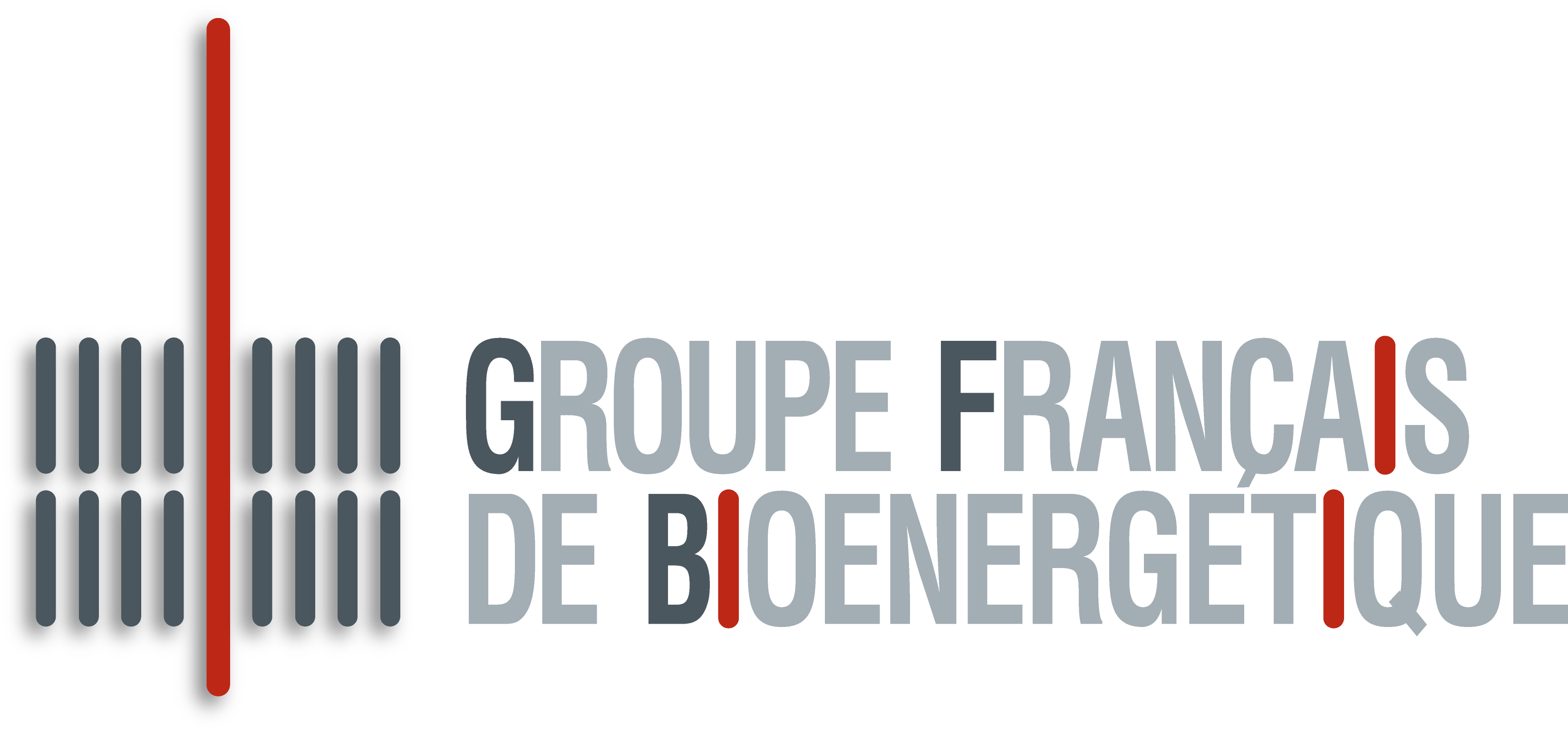 Groupe Français de Bioénergétique (GFB)